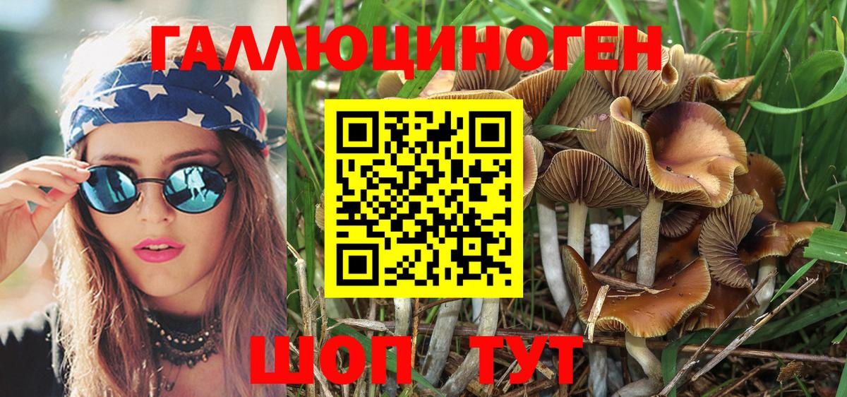 Белово  Псилоцибиновые грибы Cubensis  Псилоцибиновые грибы MAGIC MUSHROOMS  Вход с VPN 